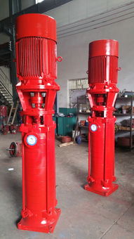 立式多級泵工作原理 公司動態(tài) 永嘉縣大西洋泵業(yè)制造